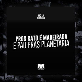 Pros Rato É Madeirada e Pau Pras Planetaria MC LD & DJ Bokinha