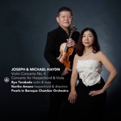 Violin Concerto No. 4 in G Major, Hob. VIIIa:4: III. Prestissimo artwork