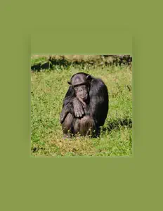 Leekixを聴いたり、ミュージックビデオを鑑賞したり、経歴やツアー日程などを確認したりしましょう！