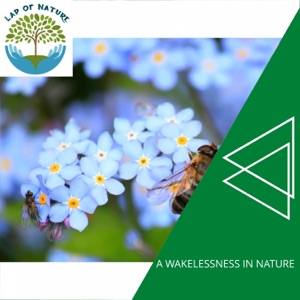 A Wakelessness in Nature