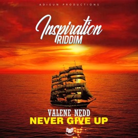 Never Give Up Adigun & Valene Nedd