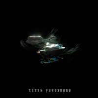 Bird - Single - Tomas Ferdinand