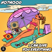 I Can Give You Everything artwork