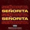 Señorita (feat. TheBeatMage) - Single