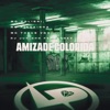 Amizade Colorida (feat. DJ Juninho Fernandez) - Single