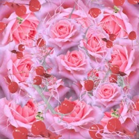 HIBACHI - Single - Dutty Dior