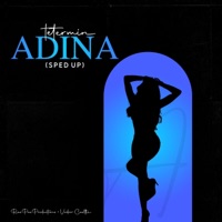 Adina (Sped Up) - Single - Tetermin