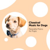 Classical Music for Dogs: Peaceful Piano for Pups artwork