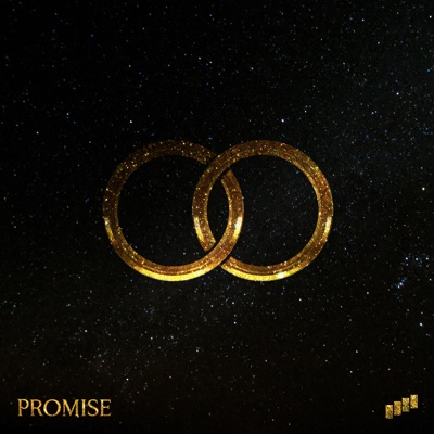 Promise