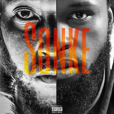 Sonke (feat. Dash Hesh) - Single