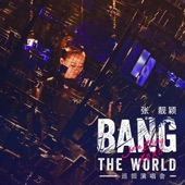 Bang the World巡回演唱会 artwork