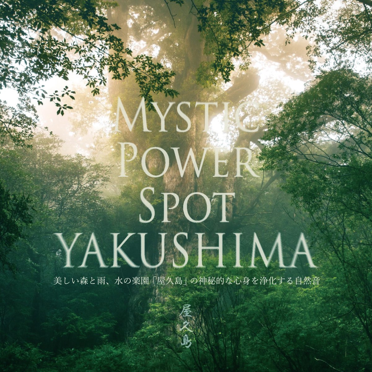 Yakushima - The Mystical Island