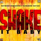 Shake It Baby artwork