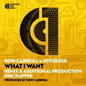 What I Want (Eric Kupper Remix) artwork