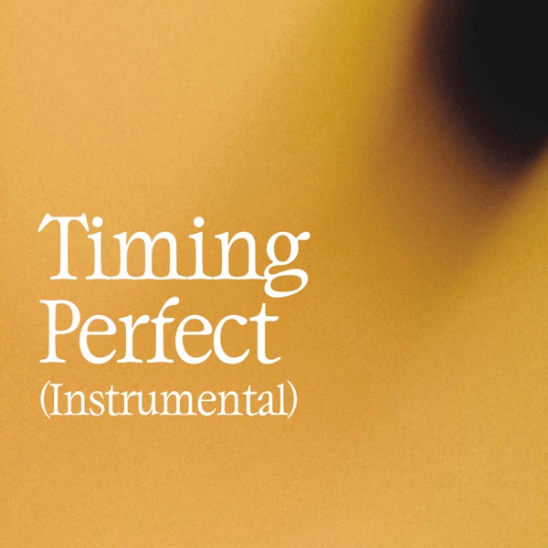 Timing Perfect (Instrumental) - Single