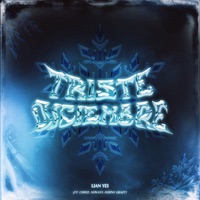 Triste Diciembre (feat. xowavy, Doony Graff & Codee) - Single - LIAN YEI