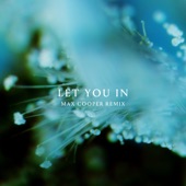 Let You In (Max Cooper Remix) artwork