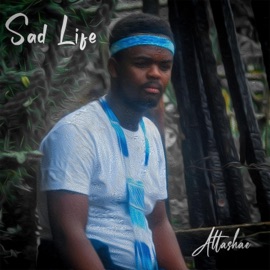 I don't need you (feat. J-Len & Tailer Coo) Attashae