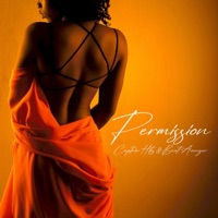 Permission - Single - Captain Hitz & Beat Avenger