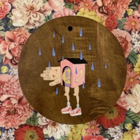 The Rain Knows What It's Doing - Andrew