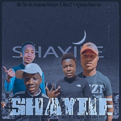 Shayile (feat. Subzero D musiq & Sgwaza & Boka Tee) - Single
