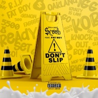 Don't Slip (feat. FAT BOY) - Single - Dolla Sign $coob