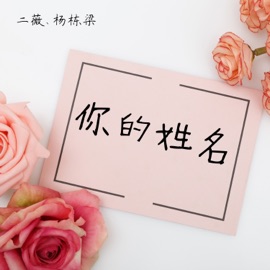你的姓名 (伴奏版) 二薇 & 杨栋梁