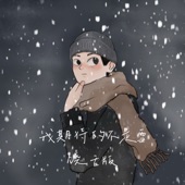 我期待的不是雪 (饶舌版) artwork