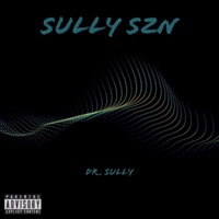 ICouldNeverHateYou - Single - Dr. Sully