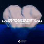 Lost Without You (Tom & Jame Remix) [feat. Tom & Jame] artwork