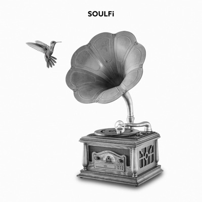 Don't Wanna Stay (feat. JAY MALAKHI & Priscilla Sifra) - Single