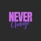 Never Change (feat. JRDN) - Mila Envy lyrics