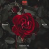 Red Rose - Single