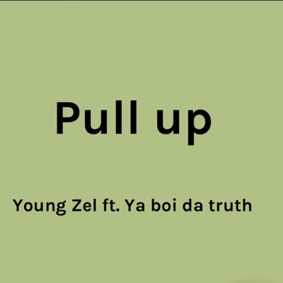 Pull Up (feat. Ya Boi Da Truth) - Single