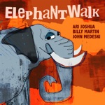 Ari Joshua - Elephant Walk (feat. John Medeski & Billy Martin)