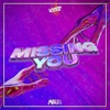 Missing You - Single