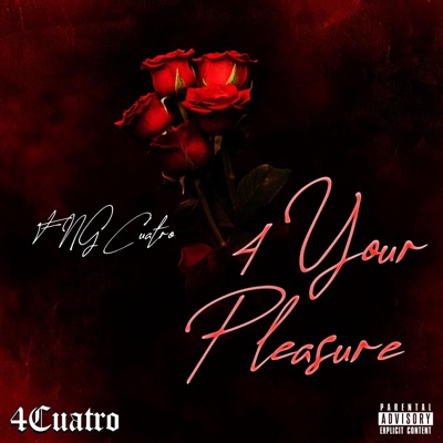 4 Your Pleasure
