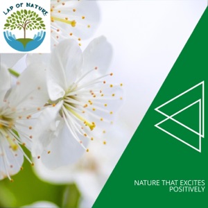 Nature That Excites Positively