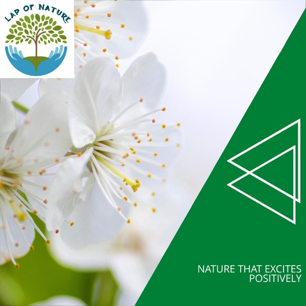 Nature That Excites Positively