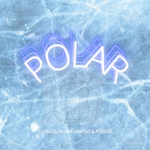 Polar (feat. Novin Dantas & Flexinz)