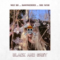 Black & Grey (feat. DannyWuzHerex & Soul Tayshi) - Single - Wülf Boi