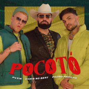 Pocotó
