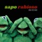 Perro Callejero - Sapo Rabioso lyrics