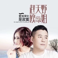 愛到深處是寂寞 - Single - 赵天野 & 欧姐