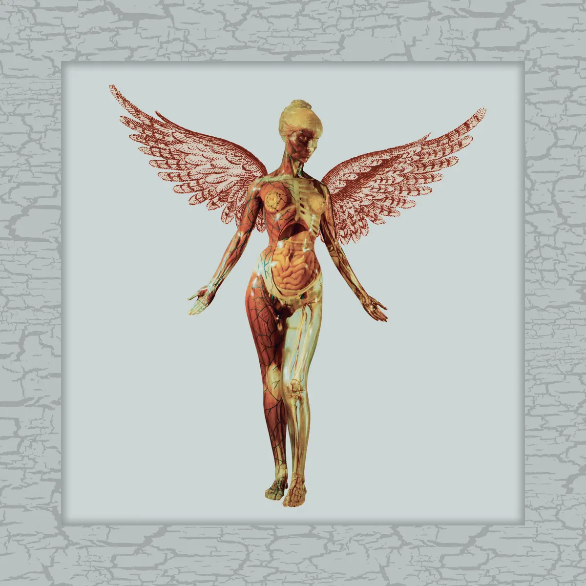 Nirvana - In Utero (30th Anniversary Super Deluxe) [2023 Remaster] (2023) [iTunes Plus AAC M4A]-新房子