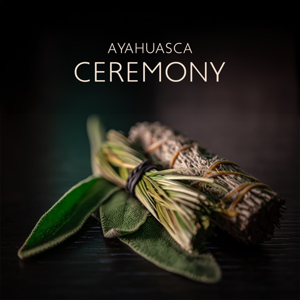 Ayahuasca Ceremony