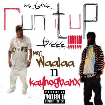 We Gone Run It Up (feat. Mr, Waalaa) - Single