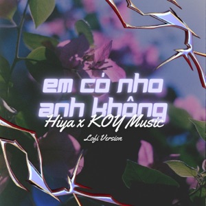 Em Có Nhớ Anh Không (Lofi)