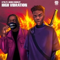 High Vibration (feat. Naira Marley) - Single - Lyta