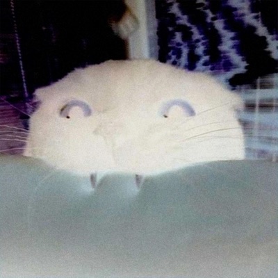 Kotomiller Wampir (feat. YoungestAlan) [Remix] [Remix] - Single